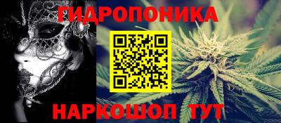 гашик Ставрополь