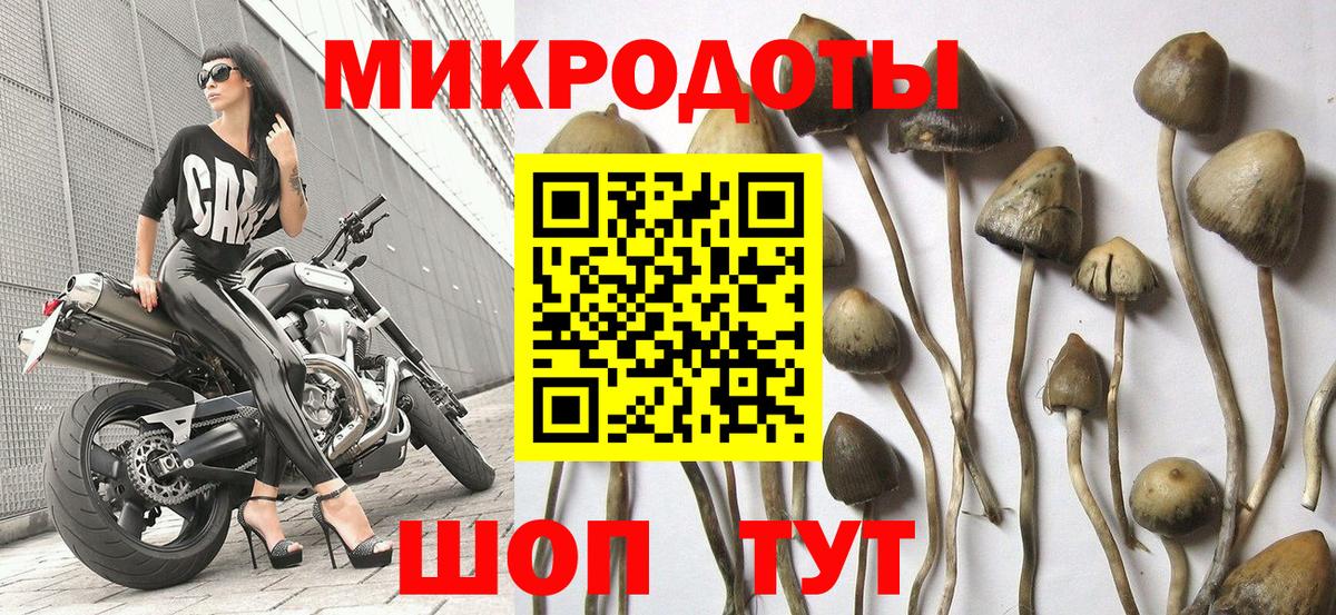 Галлюциногенные грибы MAGIC MUSHROOMS Назрань