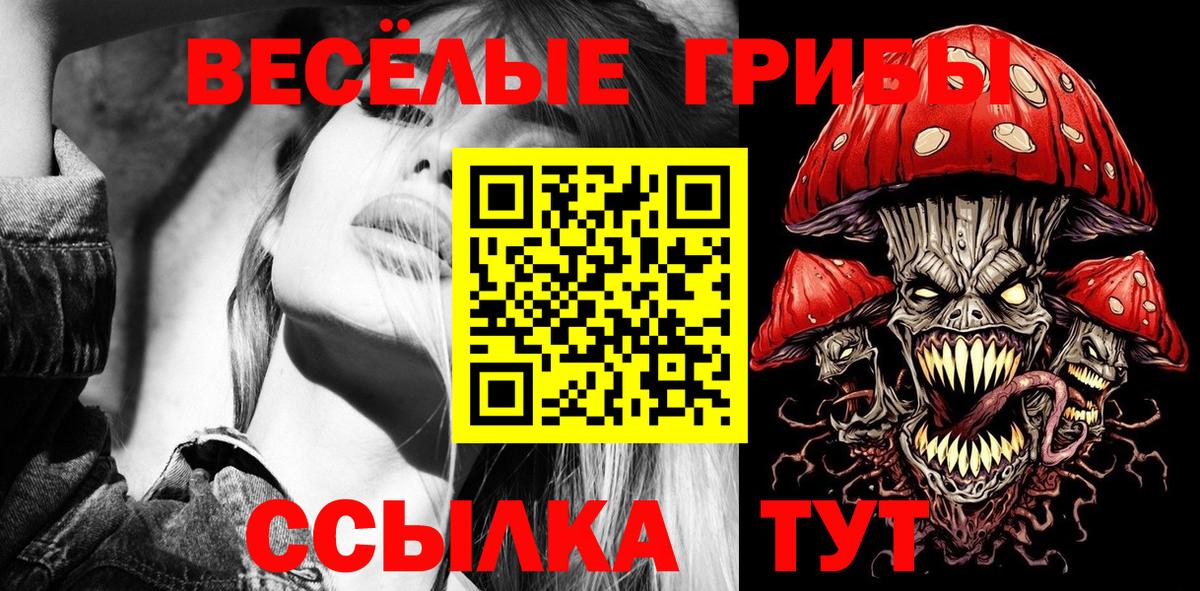 закладки  Псилоцибиновые грибы мухоморы  Вход с VPN  Назрань 